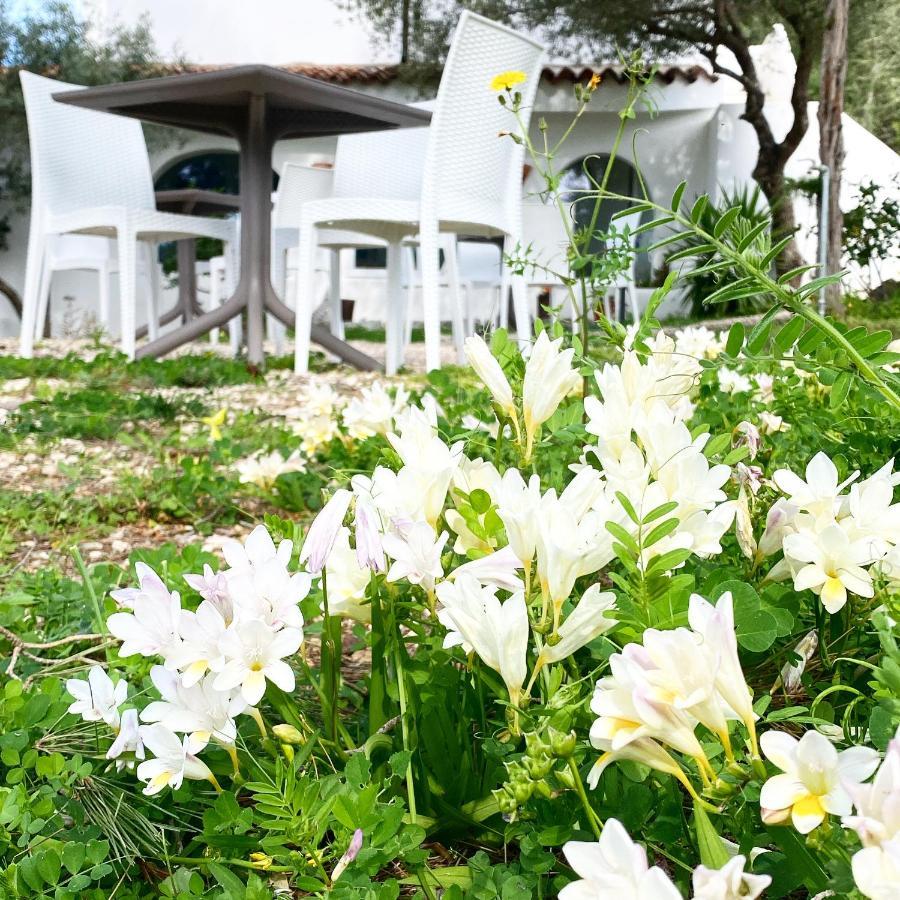 Il Salice B&B Olbia Exterior foto